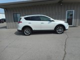 Used 2017 Toyota RAV4 Limited w/ All Weather Liner Package image 4