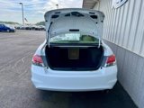 Used 2011 Honda Accord SE image 5