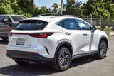 Used 2025 Lexus NX 350h AWD w/ Premium Package image 6