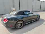 Used 2015 Ford Mustang GT Premium w/ Equipment Group 401A image 3