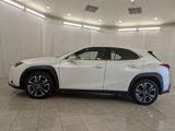Used 2025 Lexus UX 300h AWD image 5