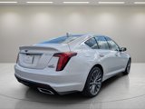 New 2025 Cadillac CT5 Premium Luxury image 4