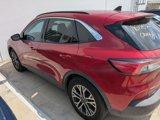 Used 2020 Ford Escape SEL image 4