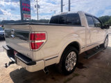 Used 2010 Ford F150 Platinum image 4