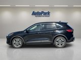 Used 2020 Ford Escape SEL image 4