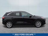 Certified 2022 Ford Escape SE image 6