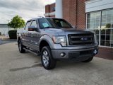 Used 2014 Ford F150 FX4 image 3
