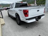 Used 2023 Ford F150 XLT image 4