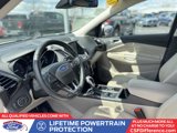 Used 2019 Ford Escape Titanium image 2
