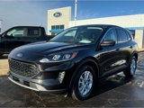 Used 2022 Ford Escape SE w/ Convenience Package image 4