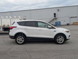 Used 2019 Ford Escape SE image 4