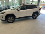 New 2025 Toyota RAV4 XLE w/ Convenience Package image 2