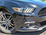 Used 2017 Ford Mustang Premium w/ Equipment Group 201A image 4