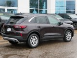 Used 2023 Ford Escape Active w/ Tech Pack #1 image 3