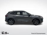 Used 2024 Ford Escape ST-Line w/ Tech Pack #1 image 2