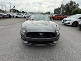 Used 2016 Ford Mustang GT Premium w/ Equipment Group 401A image 3