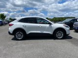 Certified 2022 Ford Escape SE image 3
