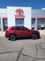 Used 2019 Toyota RAV4 Adventure image 6