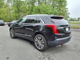 Used 2019 Cadillac XT5 Premium Luxury image 3