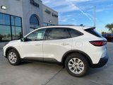 New 2025 Ford Escape Active w/ Cold Weather Package image 3