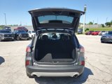 Used 2022 Ford Escape Titanium image 6