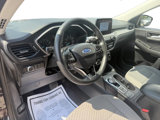 Used 2021 Ford Escape SE w/ Convenience Package image 5