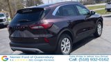 Used 2023 Ford Escape Active w/ Tech Pack #1 image 3