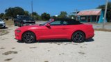 Used 2023 Ford Mustang Premium image 5
