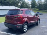 Used 2020 Ford EcoSport SE image 3