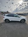 Used 2022 Ford Escape SEL w/ SEL Stealth AWD Package image 4