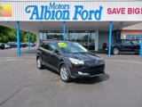 Used 2013 Ford Escape SEL image 3