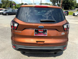 Used 2017 Ford Escape SE w/ SE Sport Appearance Package image 6