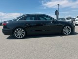 Used 2020 Audi A4 2.0T Premium Plus w/ Premium Plus Package image 4
