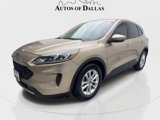 Used 2020 Ford Escape SE image 2