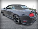 Used 2023 Ford Mustang Premium image 5