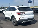 Used 2022 Ford Escape SEL image 6