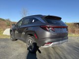 New 2025 Hyundai Tucson SEL image 3