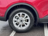 New 2025 Ford Escape Active w/ Tech Pack #1 image 6