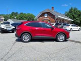 Used 2020 Ford Escape SE image 4