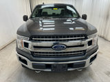 Used 2019 Ford F150 XLT w/ Equipment Group 302A Luxury image 2