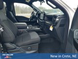 New 2025 Ford F150 STX w/ Equipment Group 200A image 4