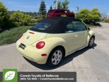 Used 2003 Volkswagen Beetle GLS image 3