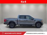 Certified 2023 Ford F150 XLT w/ Equipment Group 302A High image 2