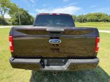 Used 2019 Ford F150 XL w/ Equipment Group 101A Mid image 6