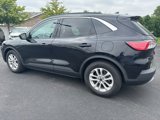 Used 2020 Ford Escape SE image 5
