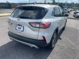 Used 2020 Ford Escape SEL image 4