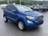 Used 2020 Ford EcoSport SE image 5