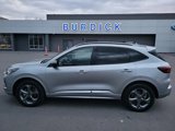 Certified 2024 Ford Escape ST-Line image 3