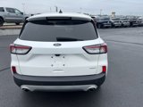 Used 2020 Ford Escape SEL image 4
