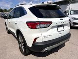 Used 2020 Ford Escape Titanium image 6
